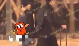 刘大锤最新爆料翟潇闻